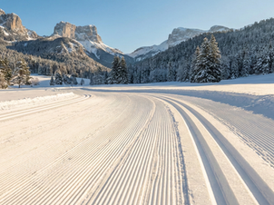 Premières Traces : Ouverture Anticipée du Ski de Fond dans le Vercors dès ce week-end !