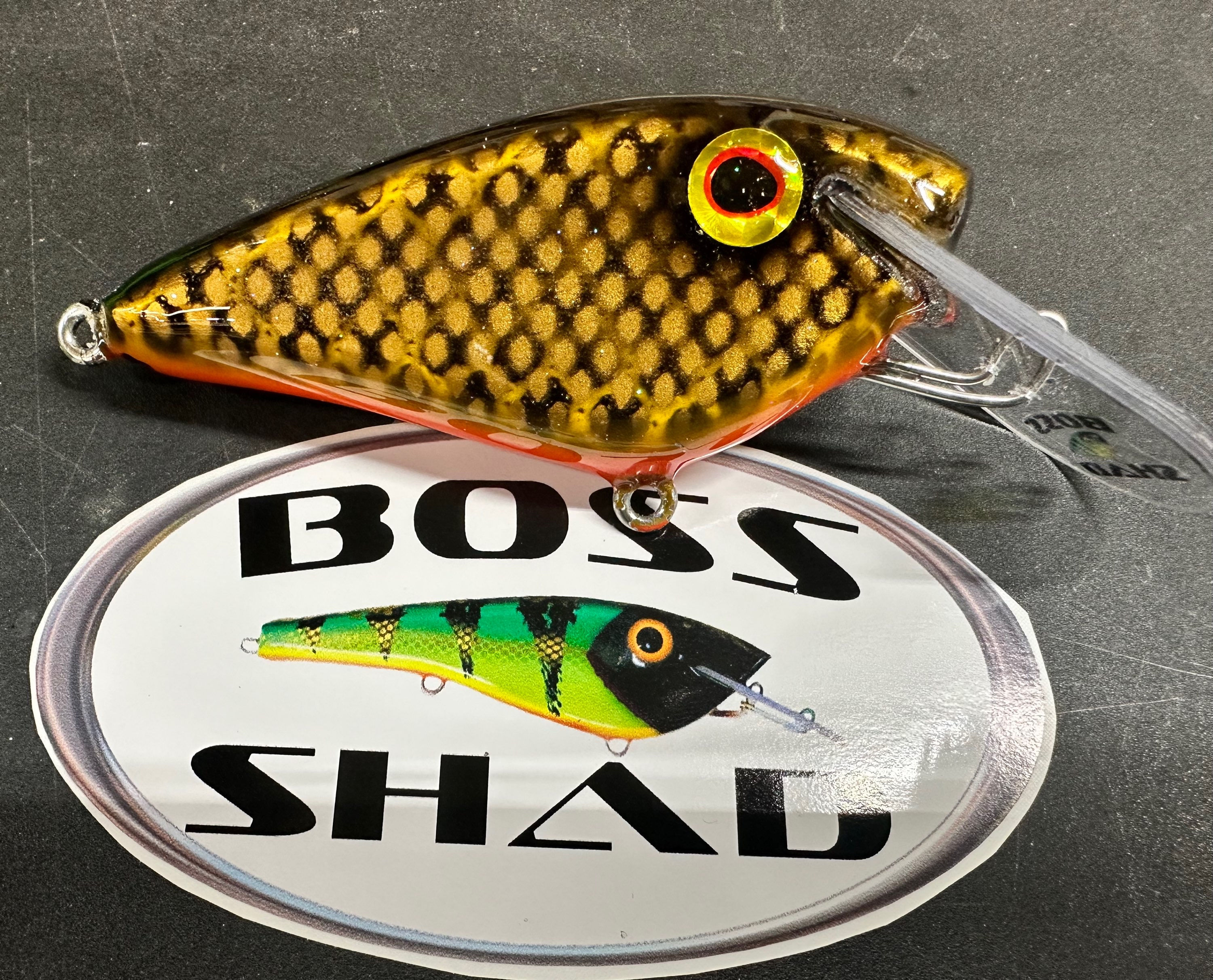 4.5” Oldbody Chautauqua Sucker