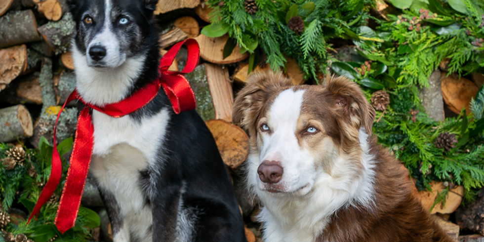 Wreath Workshop 1st of Dec, 6.30pm