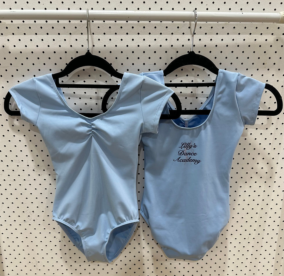 Baby Blue Leotard