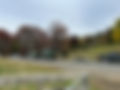IMG_9388.jpeg