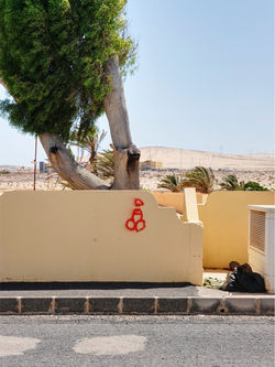 SCHWARZER MÜLLSACK (2022)