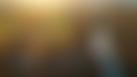 A bird’s eye-view of your financial plan