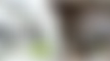 HOW TO BUILD A STRONG INVESTMENT PORTFOLIO (I)