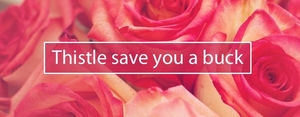 Thistle save you a buck