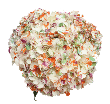 Confetti Fall