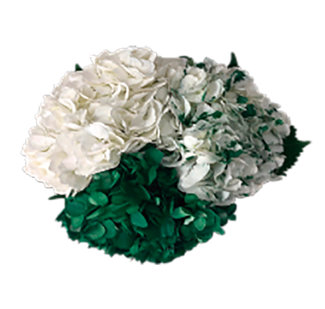 St. Patrick's Day