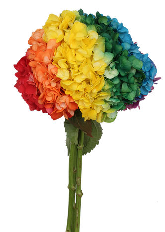 Pride Flag
