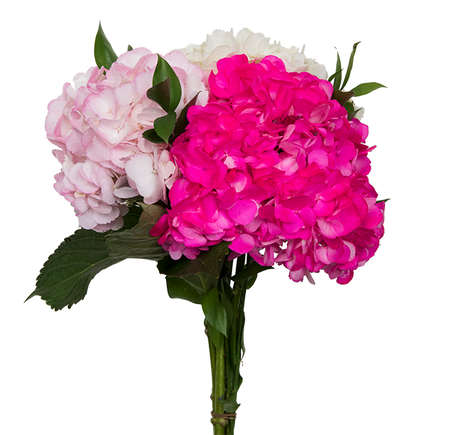 Mom Special Bouquet
