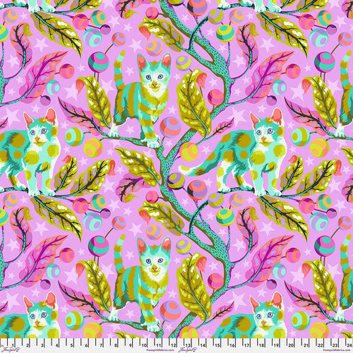 邦楽 KITTY CONNECTION 20th century Free Spirit Fabrics -Tula Pink-Tabby Road Déjà Vu Minky-Club