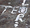 _DSC0099_edited.jpg