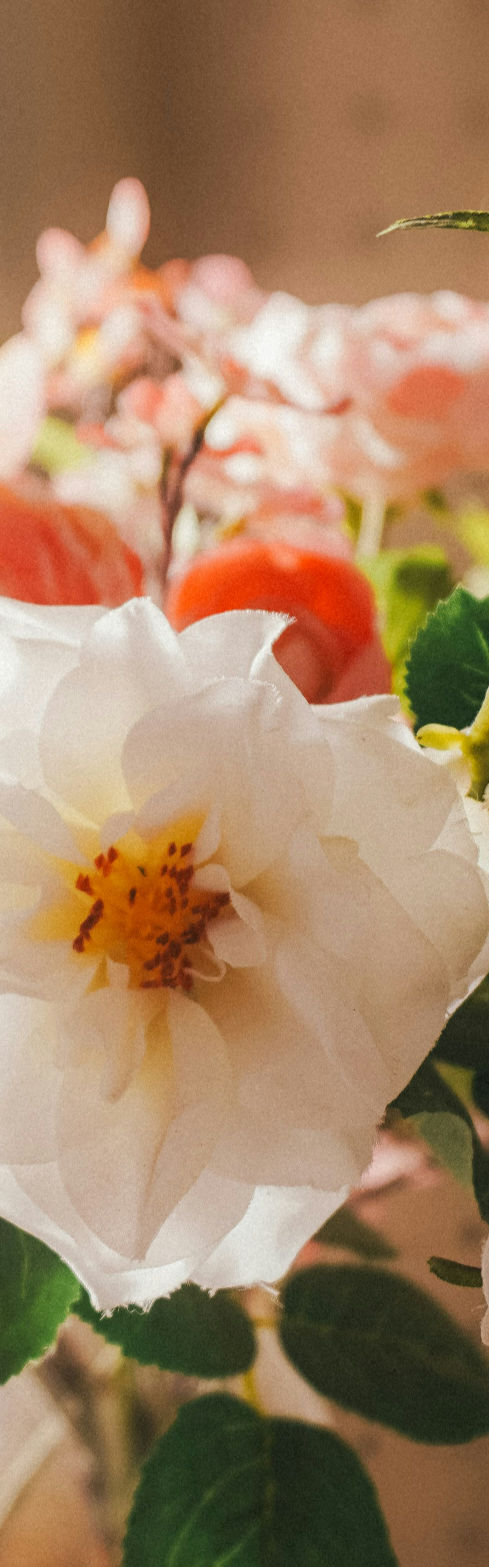 flower vase_edited.jpg