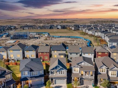 The impacts of single-dwelling homes