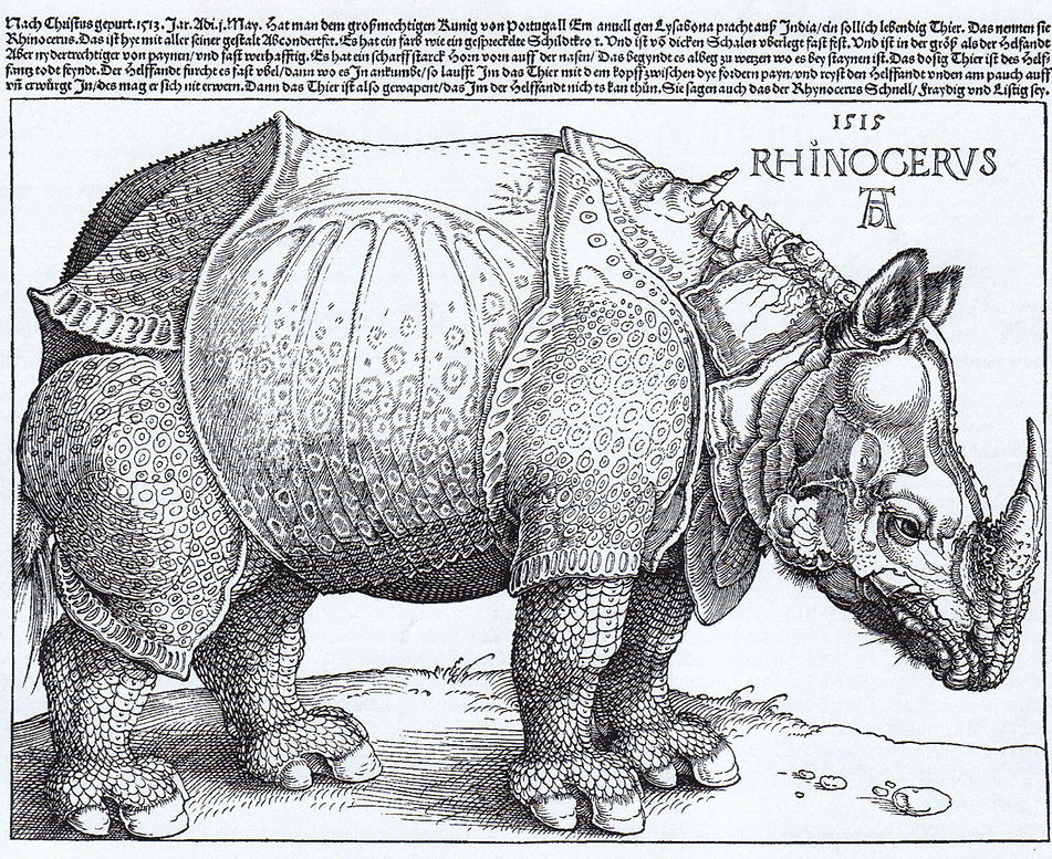duerer-woodprint-01-rhinoceros.jpg
