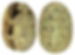 egyptian-scarab-01
