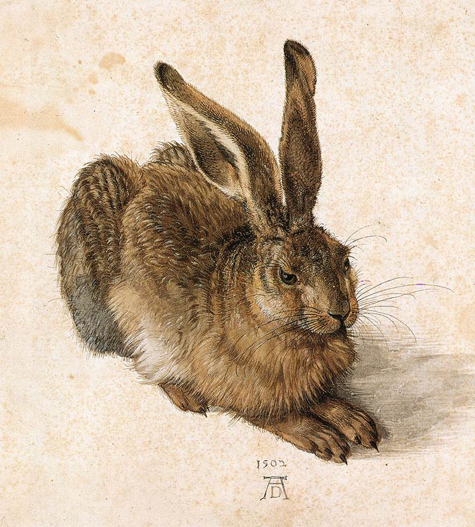 Albrecht Duerer, watercolors