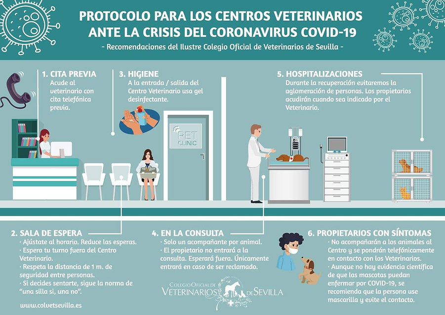 VETE_protocol.jpeg