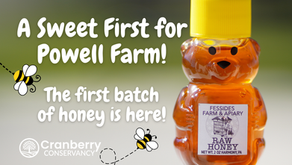 The first batch of honey is here