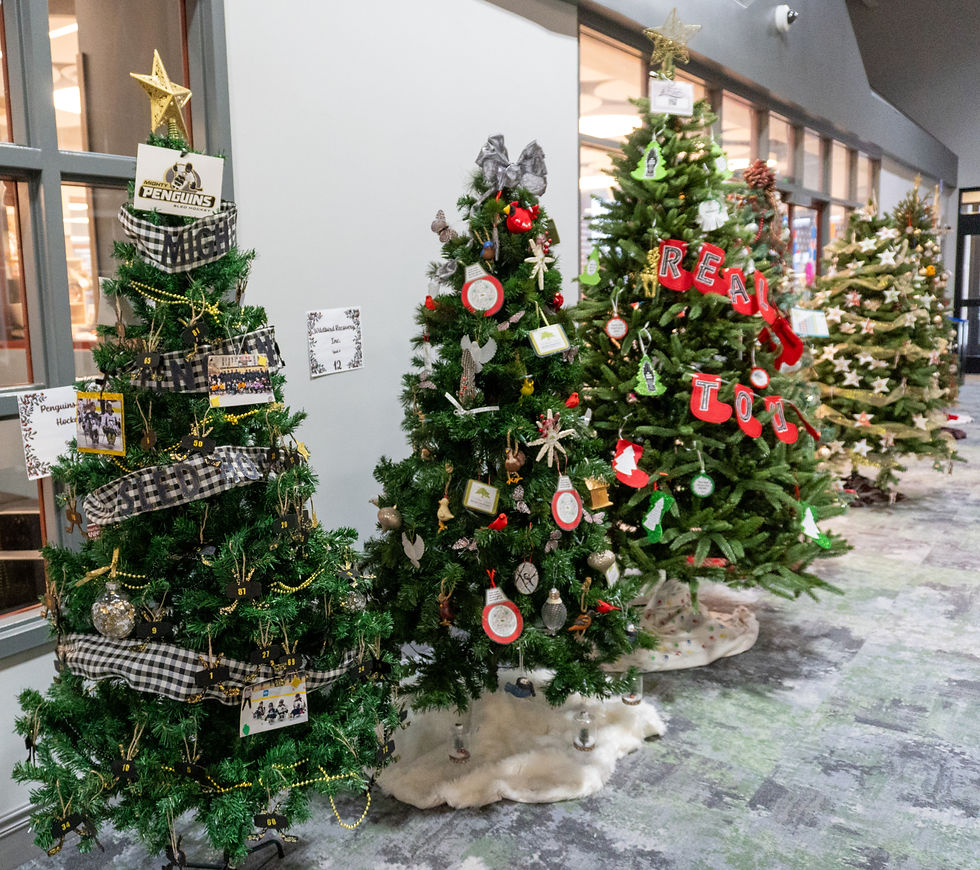 The 17th Annual Tree Gallery opened at the Cranberry Township Municipal Center on November 21, 2025.