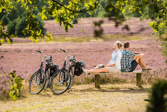 Lüneburgerheide-2014-Rad-125© Lüneburger Heide GmbH.jpg