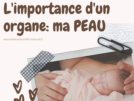 L'importance de la PEAU