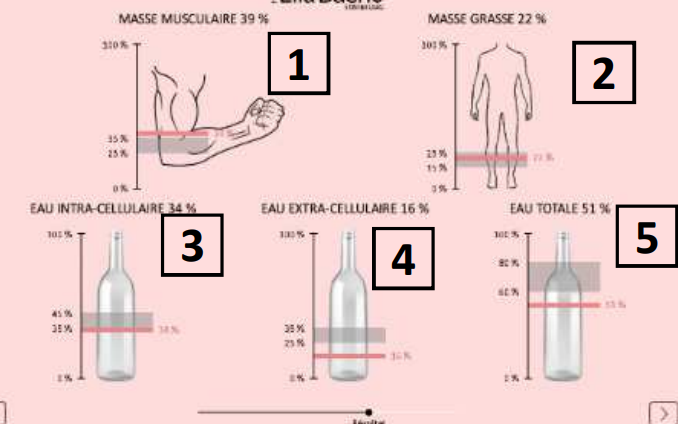 Analyses des fonctions corporelles