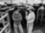 3PcNygj4-2_edited_edited.jpg