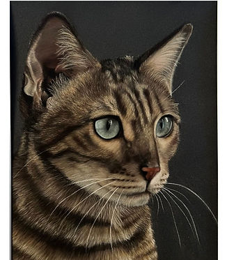 pastel portrait of bengal tabby cat