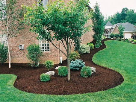 Professional Landscaping
