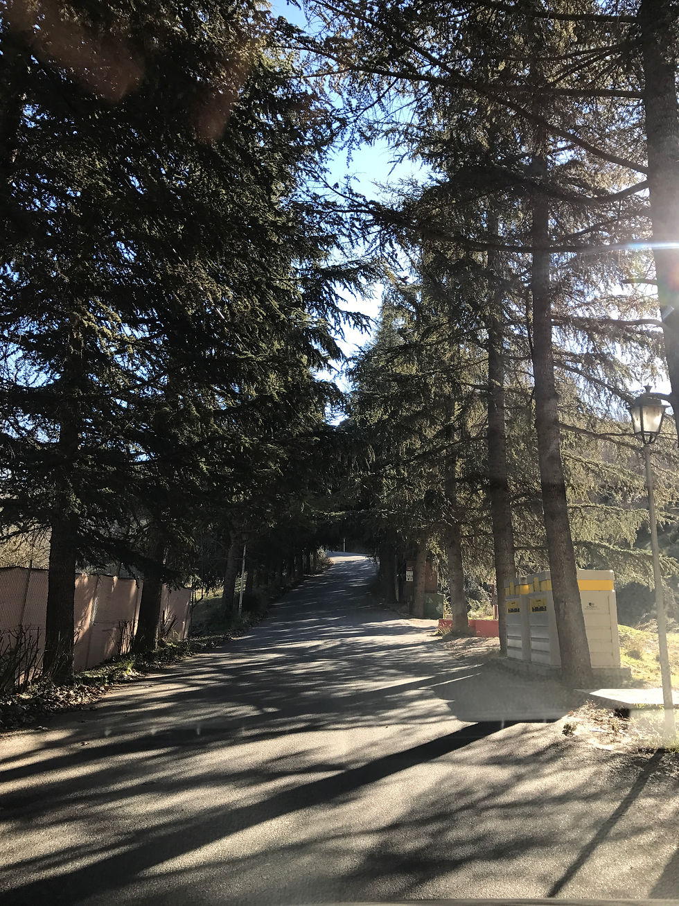 Camino hacia urbanización