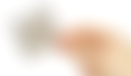 12 COSAS QUE NO SABÍAS DEL CONDÓN...