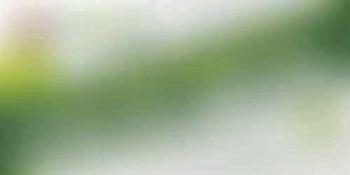 TANAO CIERRA CAMPAÑA MAÑANA...