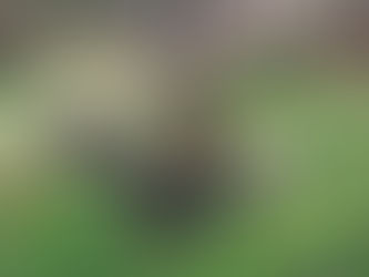 Termine für Einzelcoaching endlich verfügbar!