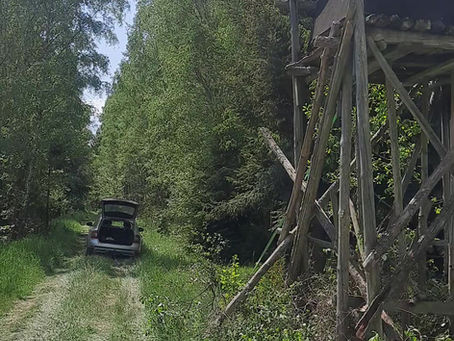 Verantwortung im Umweltschutz