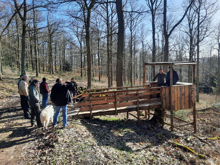 Hier lebt der Teamgeist!