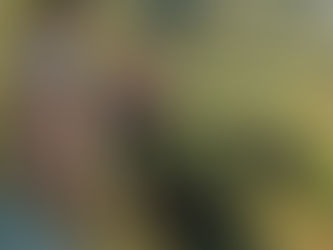 Jagdpolitik im Revier