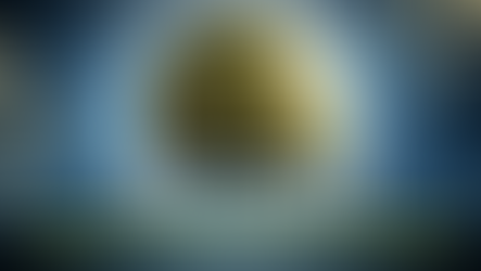 Congratulazioni ai primi proprietari di RSL Coin!