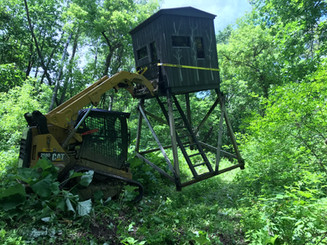 image1.jpeg