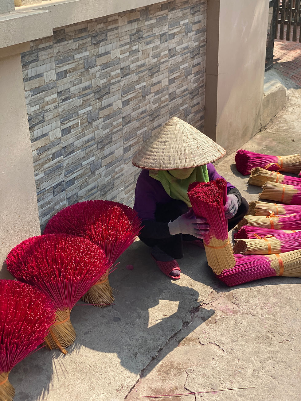 Quando andare in Vietnam: il periodo migliore per organizzare il viaggio perfetto