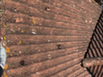 roof clean.png