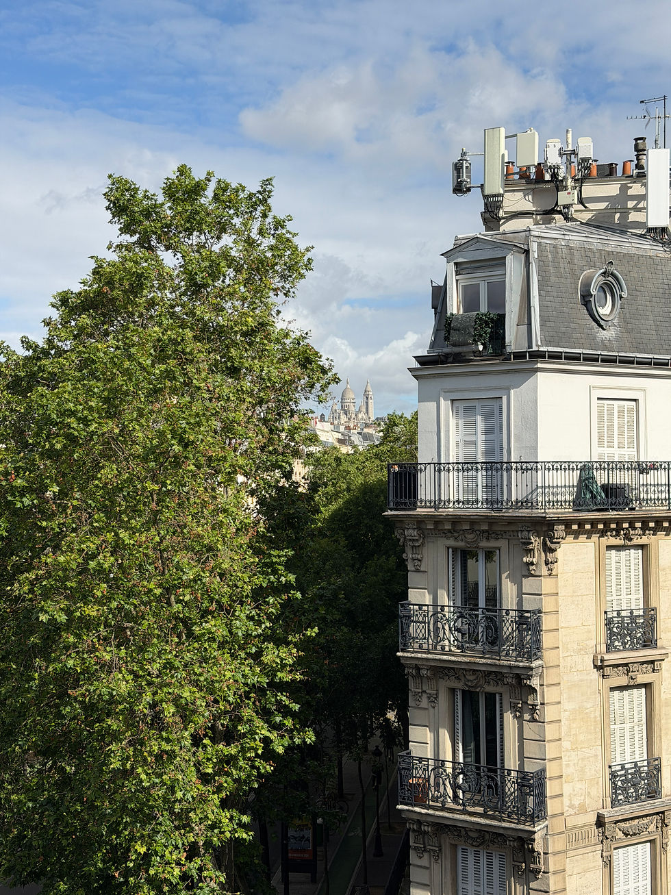 Paris apartment building beside a leafy tree, with Sacré-Cœur domes in the distance under a cloudy blue sky.