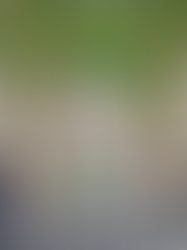 FAQ: Unraveling Property Purchase Offers and Acceptance in France 