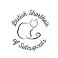 Dein Abschnittstext (1).png