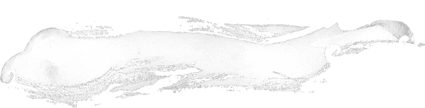 nuage05.png