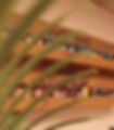 AfterlightImage 2_edited.jpg