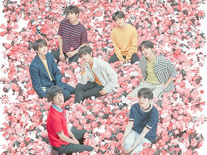 BTS LY.jpeg