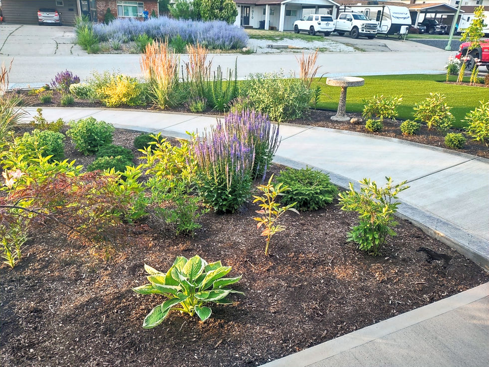 WhatsApp Image 2025-07-08 at 11.11_edited.jpg