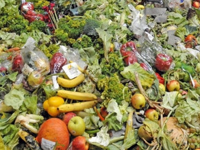 Le gaspillage alimentaire, enjeu du 21ème siècle et défi pour l'innovation