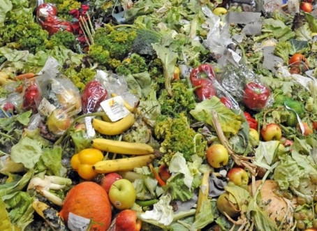 Le gaspillage alimentaire, enjeu du 21ème siècle et défi pour l'innovation