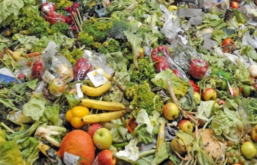 Le gaspillage alimentaire, enjeu du 21ème siècle et défi pour l'innovation